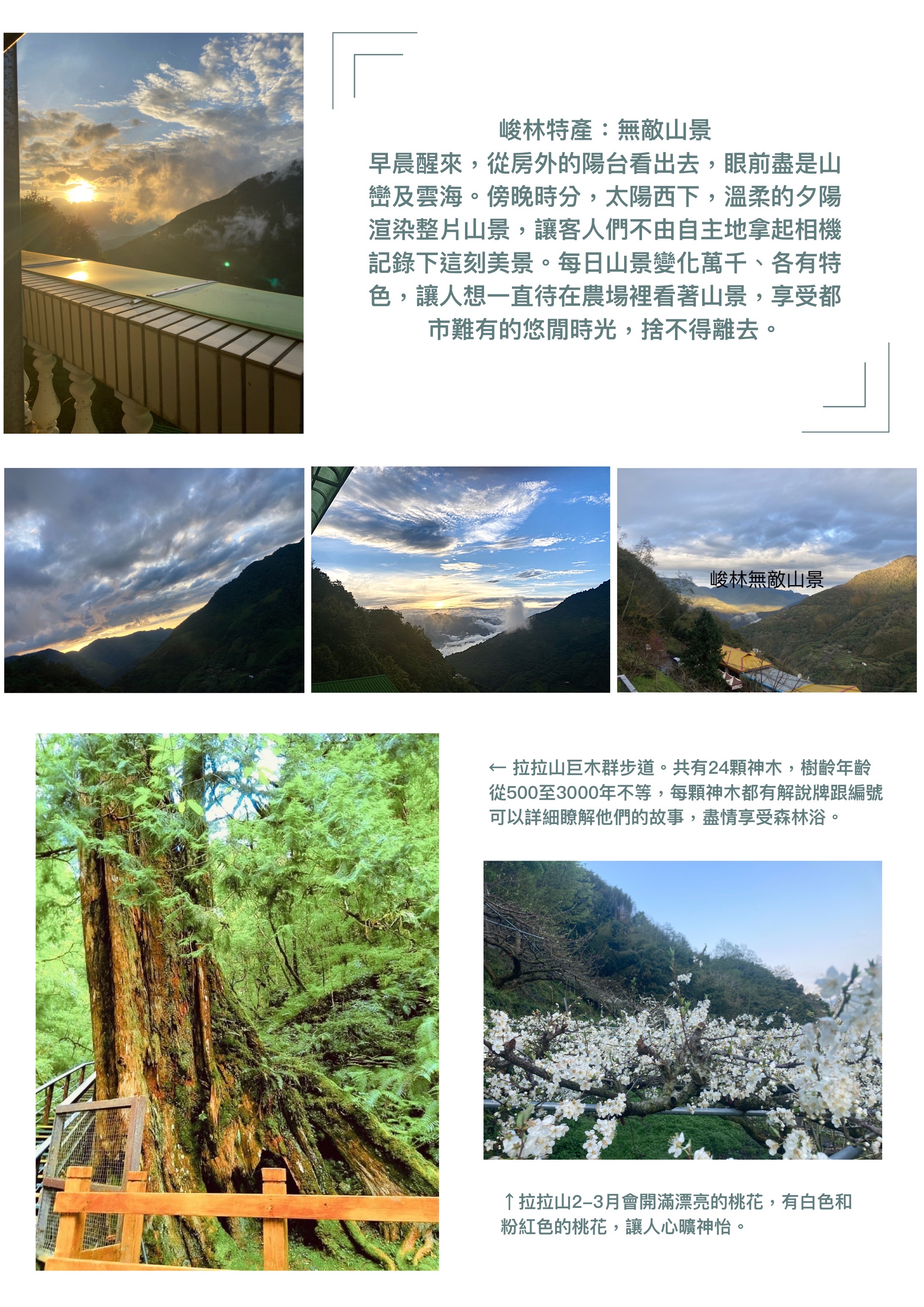 峻林渡假農場-8