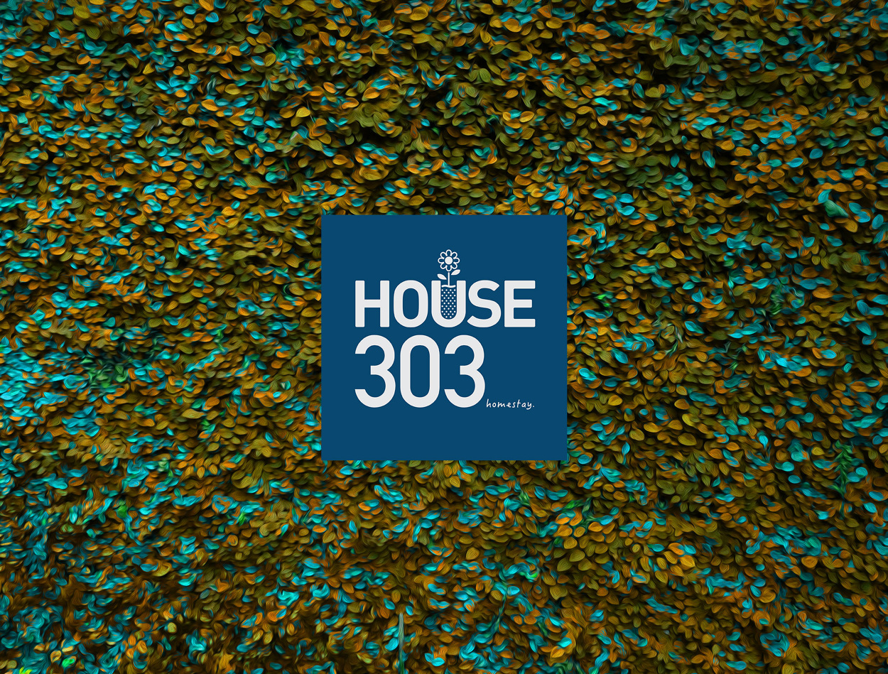 HOUSE 303民宿-4