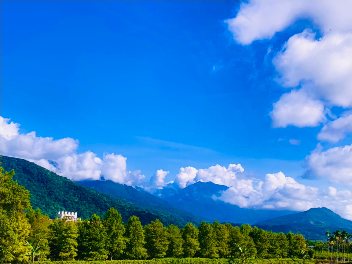 正在花蓮民宿一景