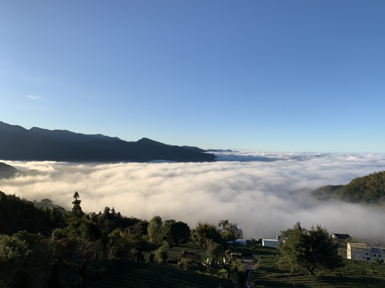 鶴巢民宿-2