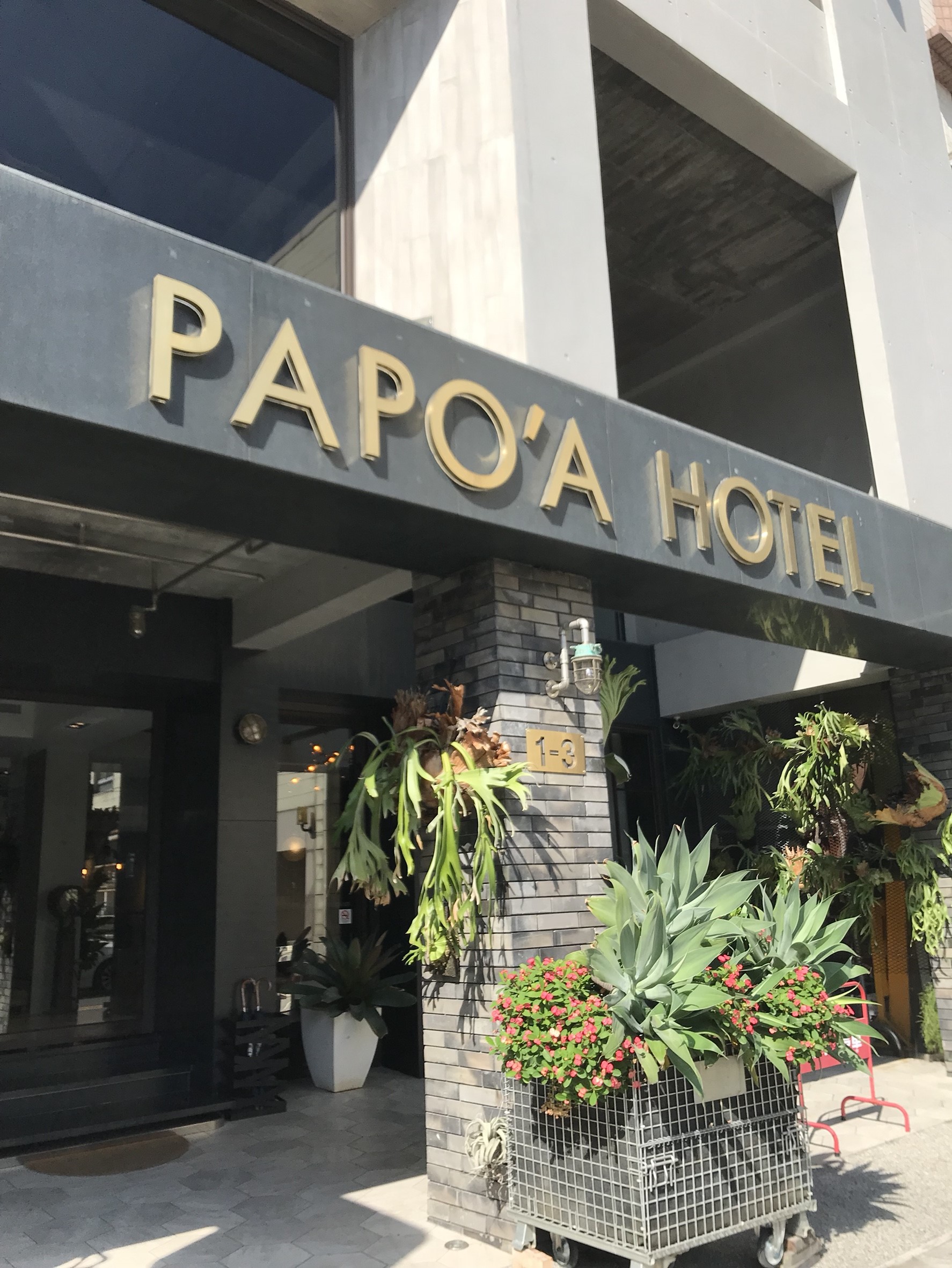 帕鉑舍旅旅店-1
