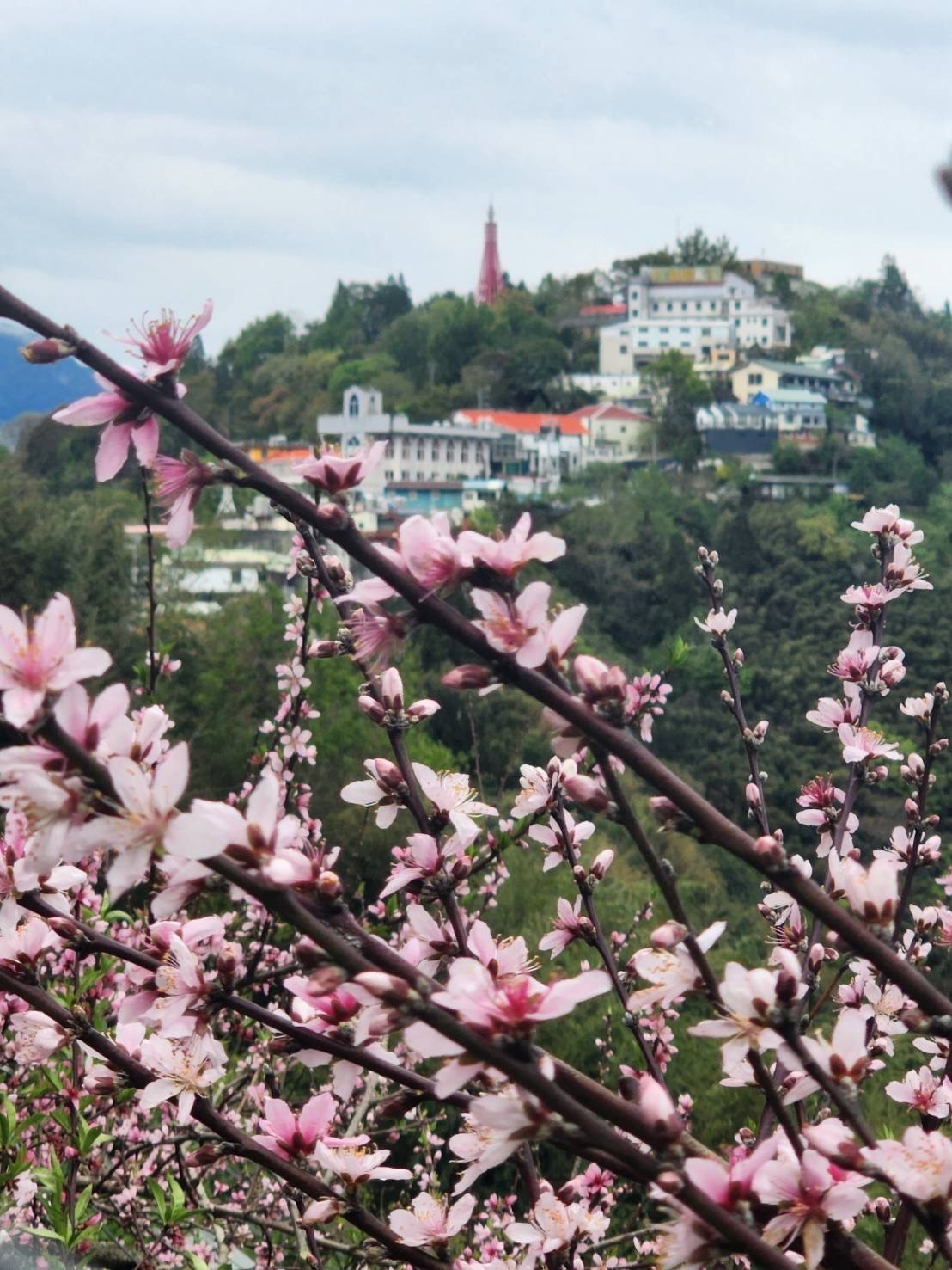 松林渡假山莊-20