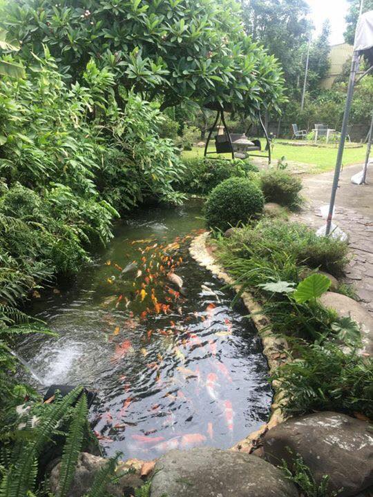 悅來居民宿-11