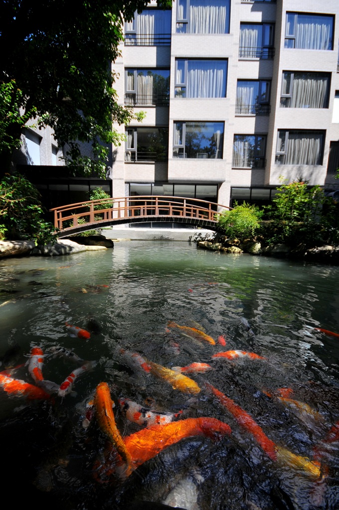 太子會館中庭御花園