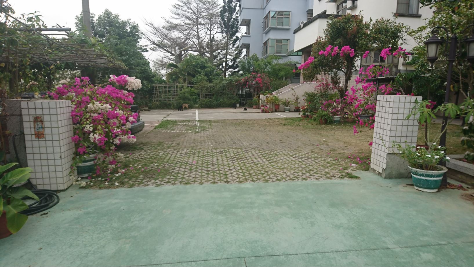 旺來庭園民宿1