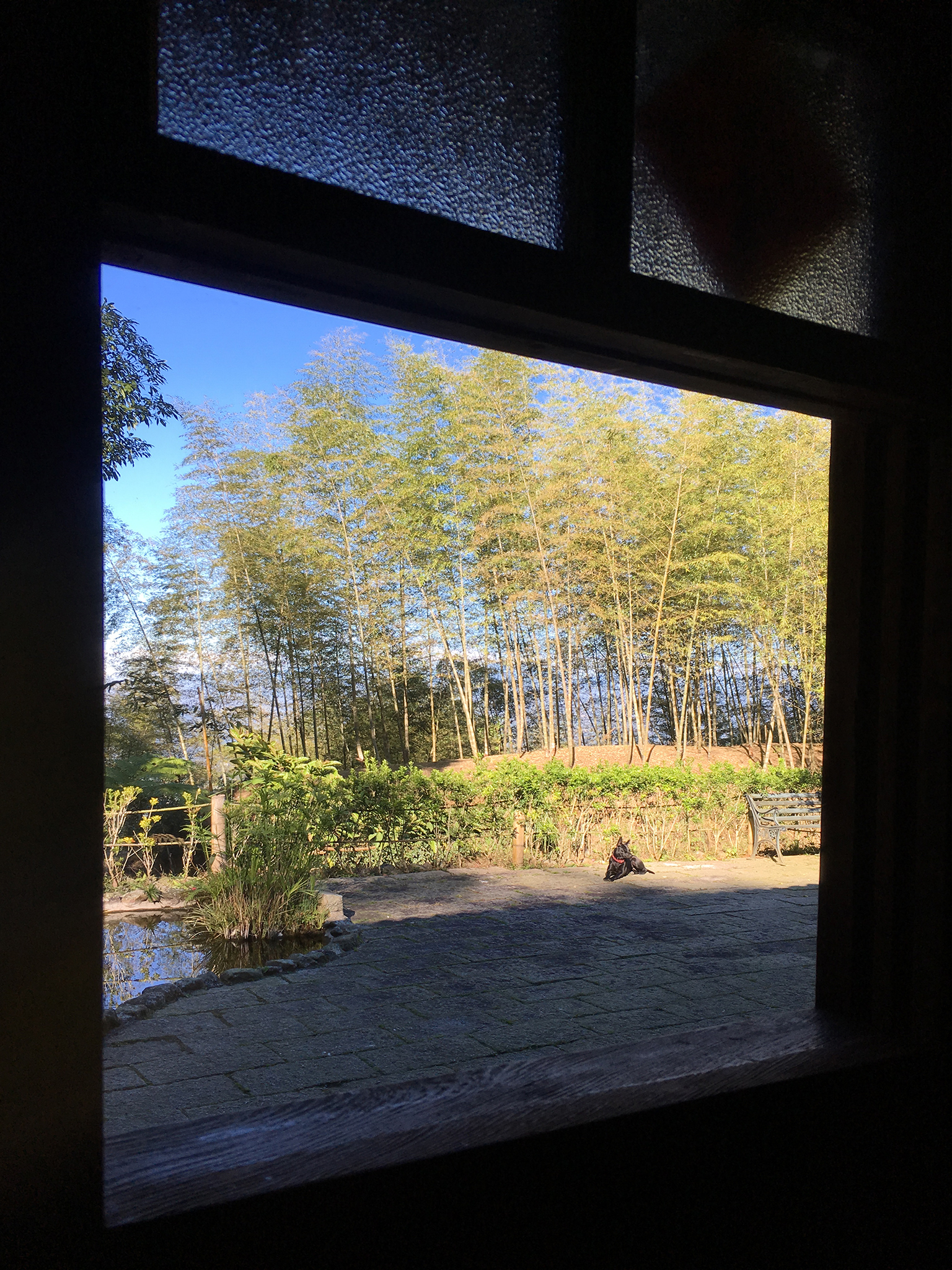 有竹居-11