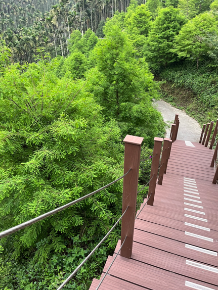 意境森林4