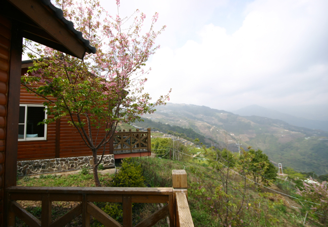 清境小太陽景觀木屋(特色民宿)-1