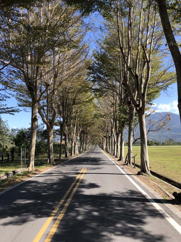 龍田富貴角民宿-17