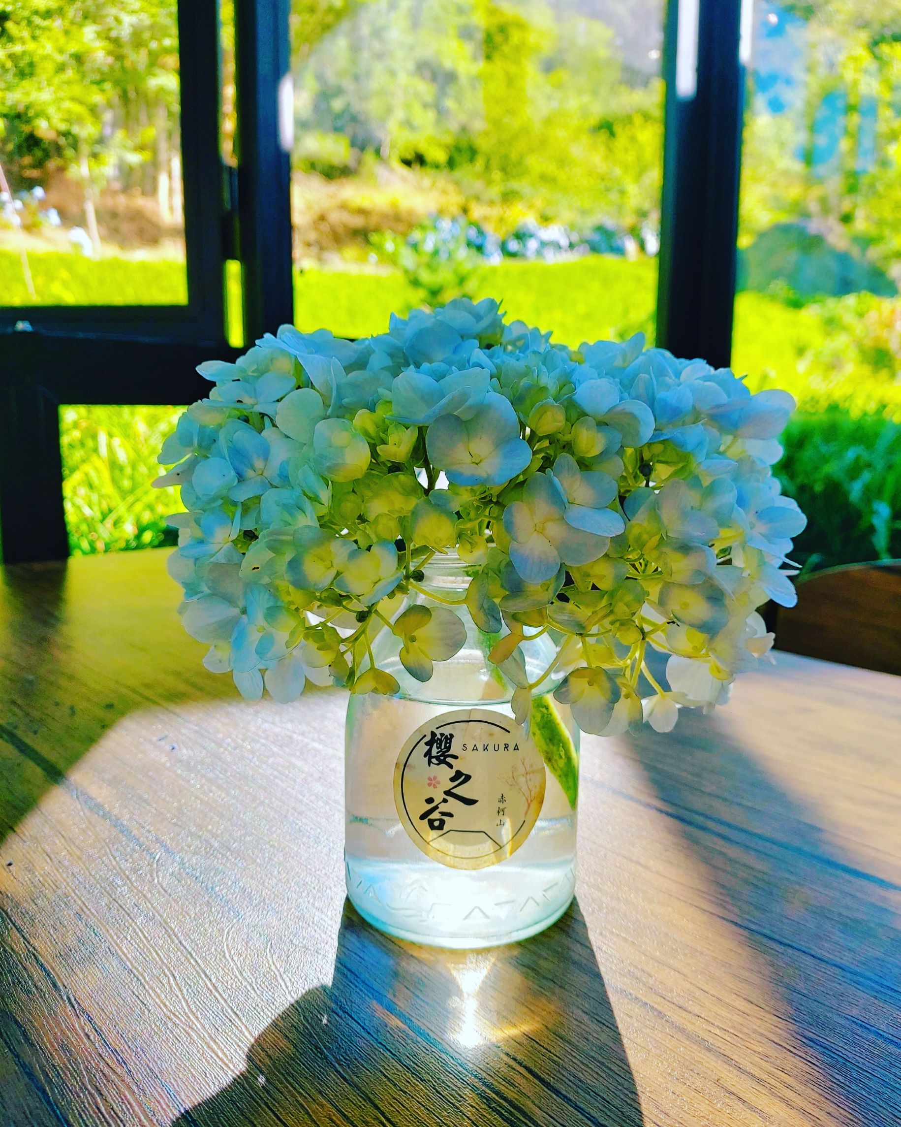 赤科山櫻之谷民宿-25