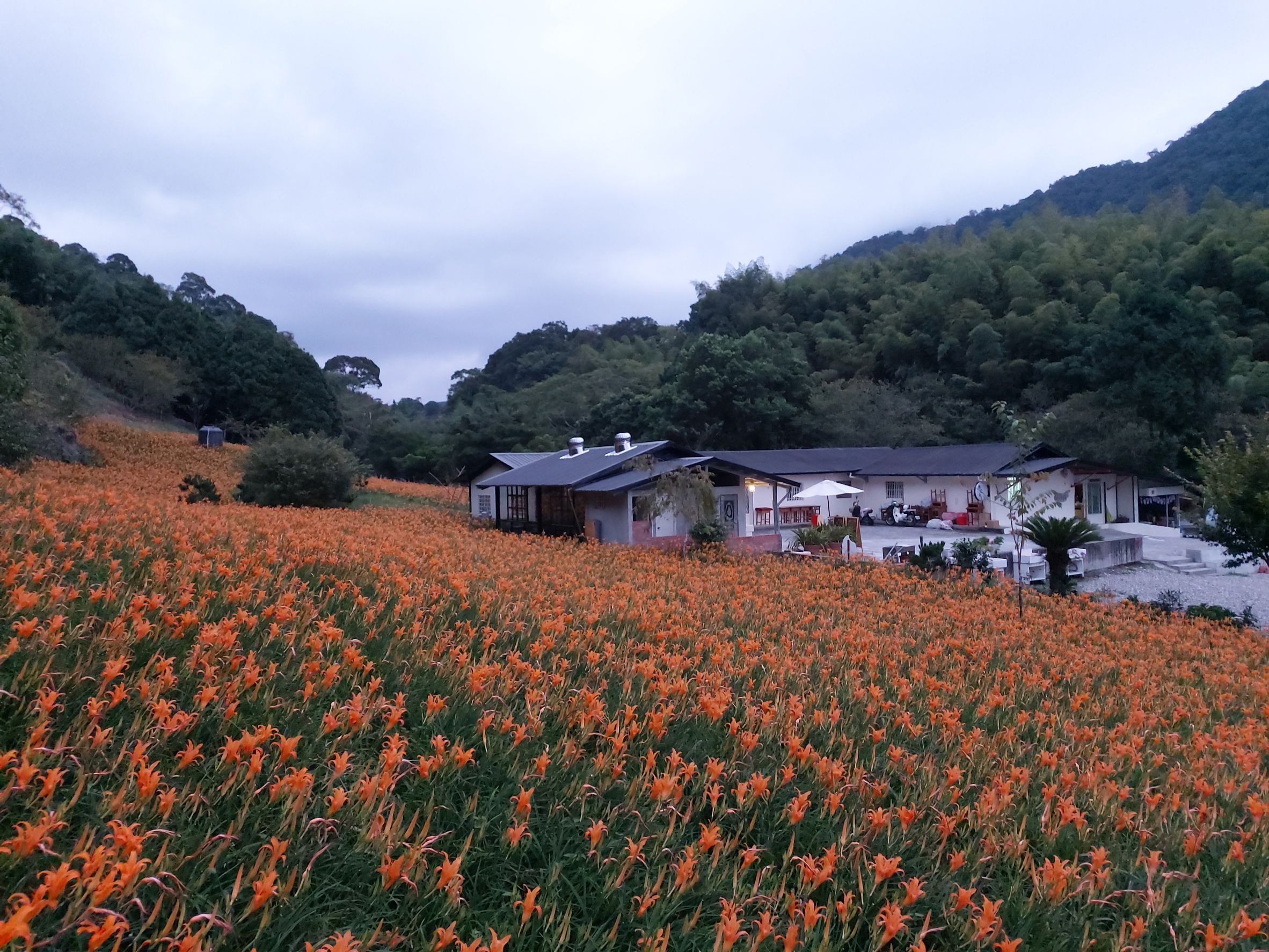 赤科山櫻之谷民宿-4
