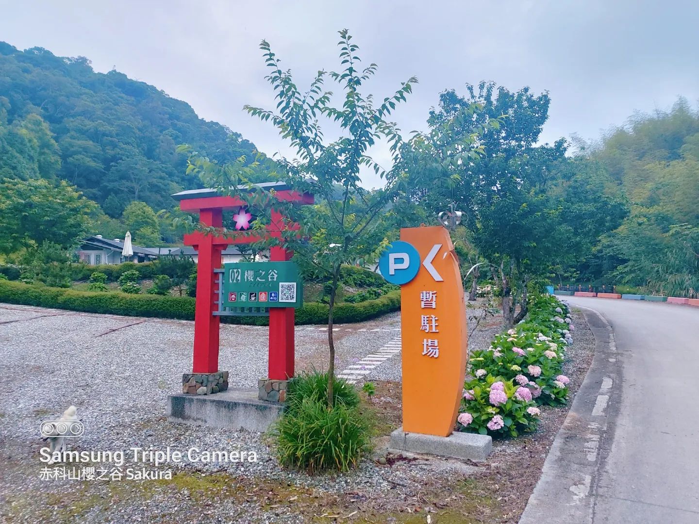 赤科山櫻之谷民宿-32