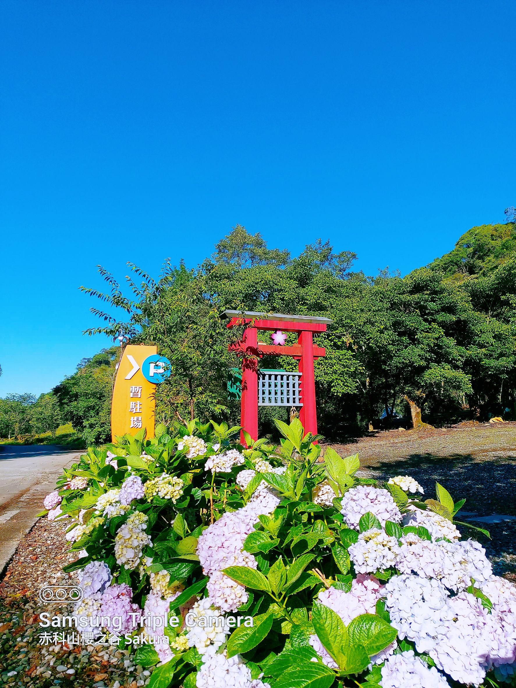 赤科山櫻之谷民宿-33
