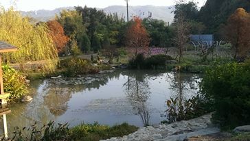 黛安莊園-5
