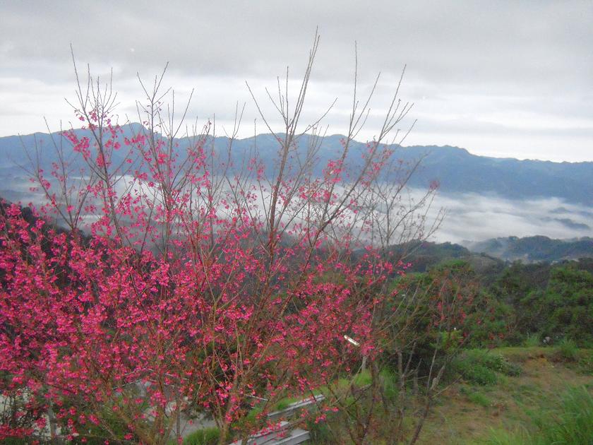 馬拉邦渡假山莊-1