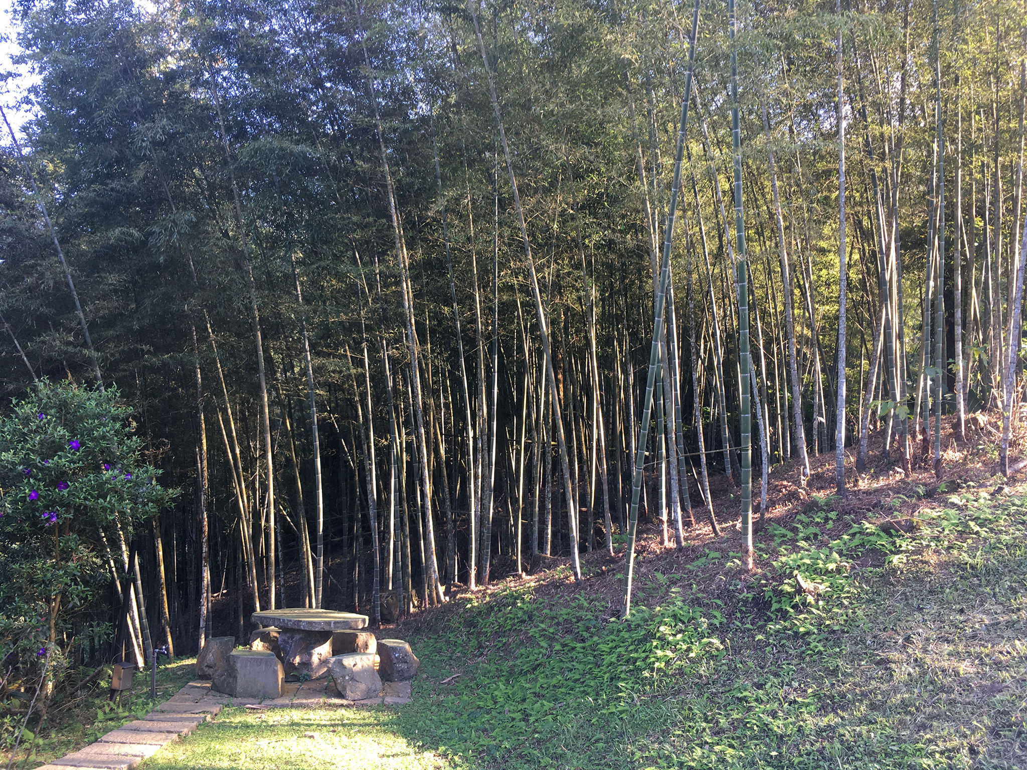 有竹居-12