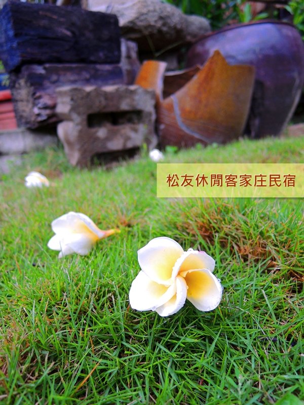 松友休閒客家庄民宿-1