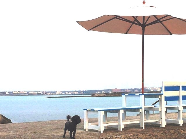 卡膜脈民宿(特色民宿)3