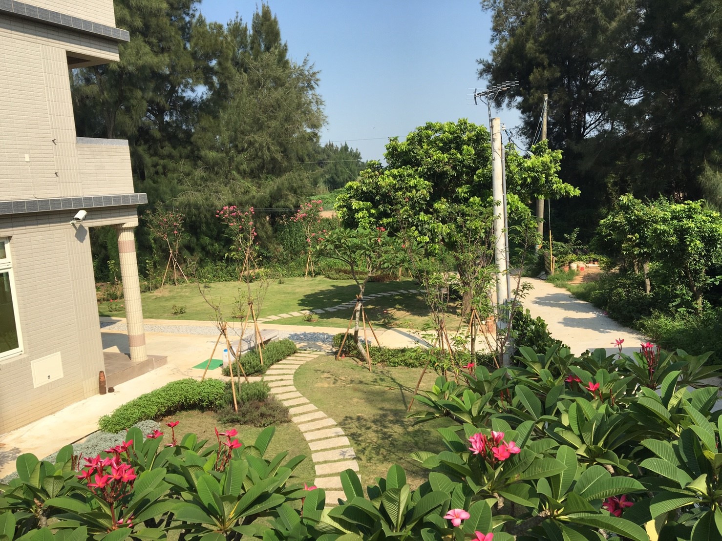 東一點紅金墩園-3