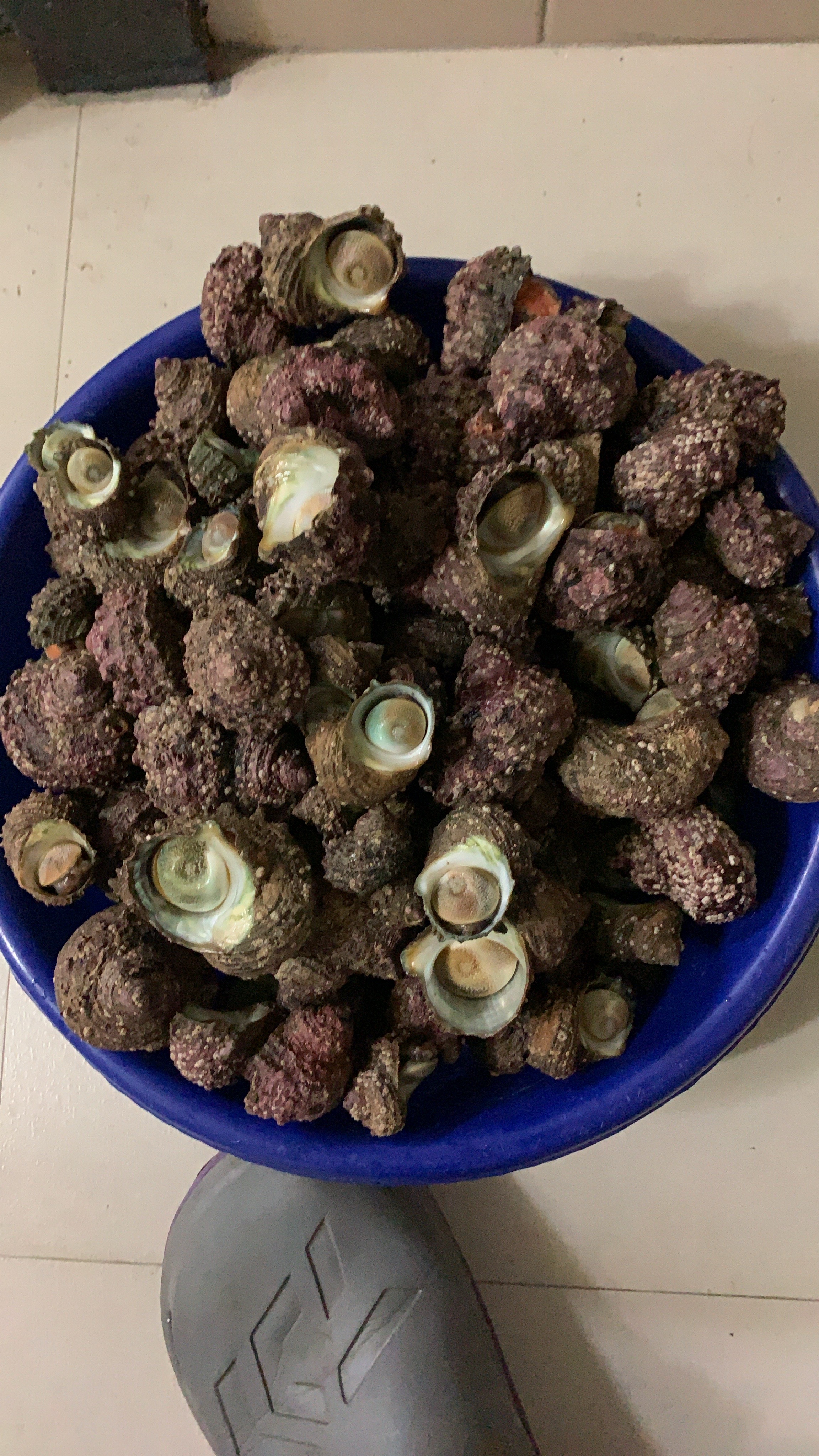 有片沙灘-5