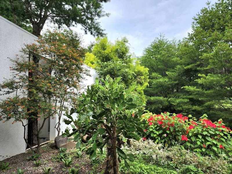 八角隱士莊園-3