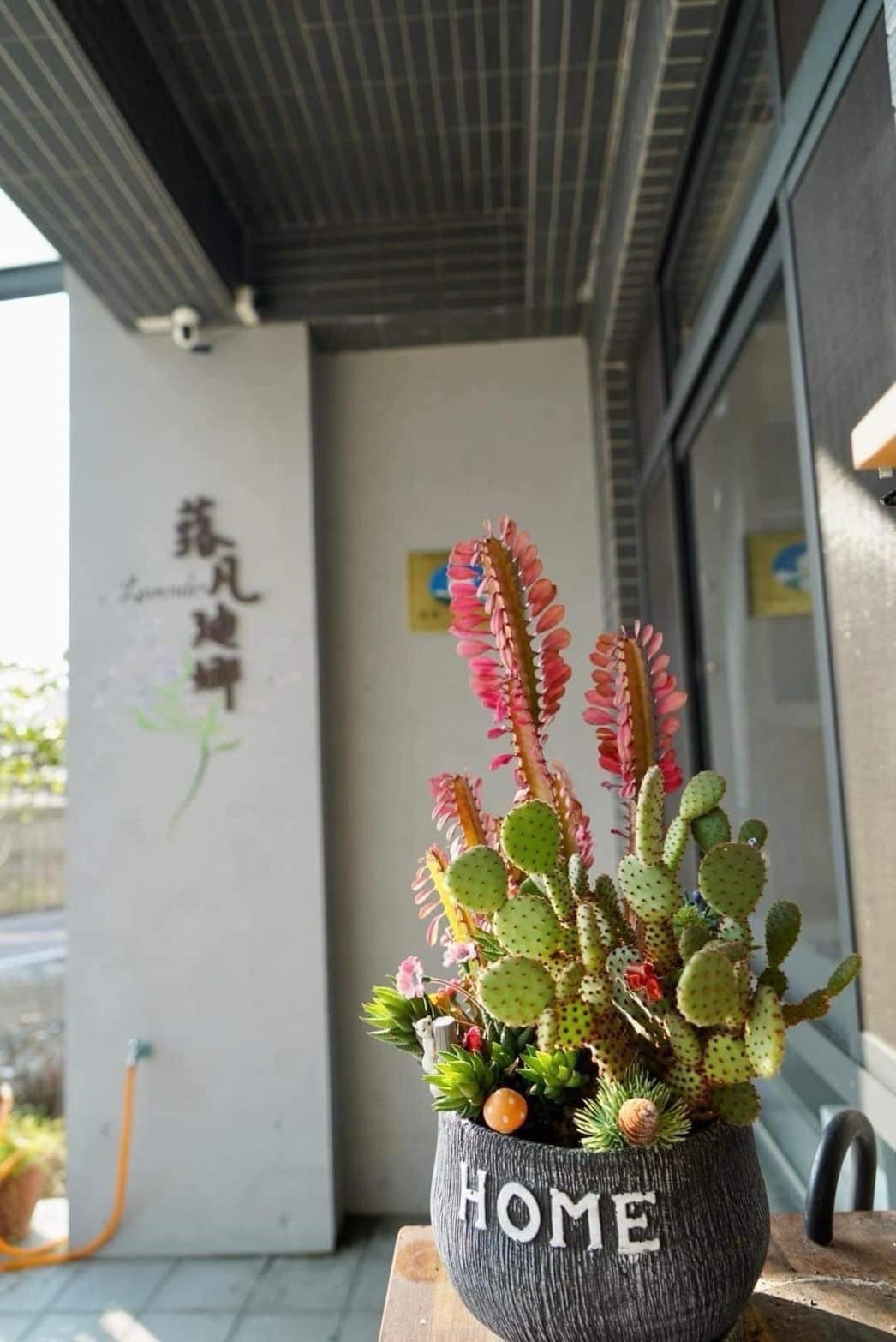 蕗凡迪娜-8