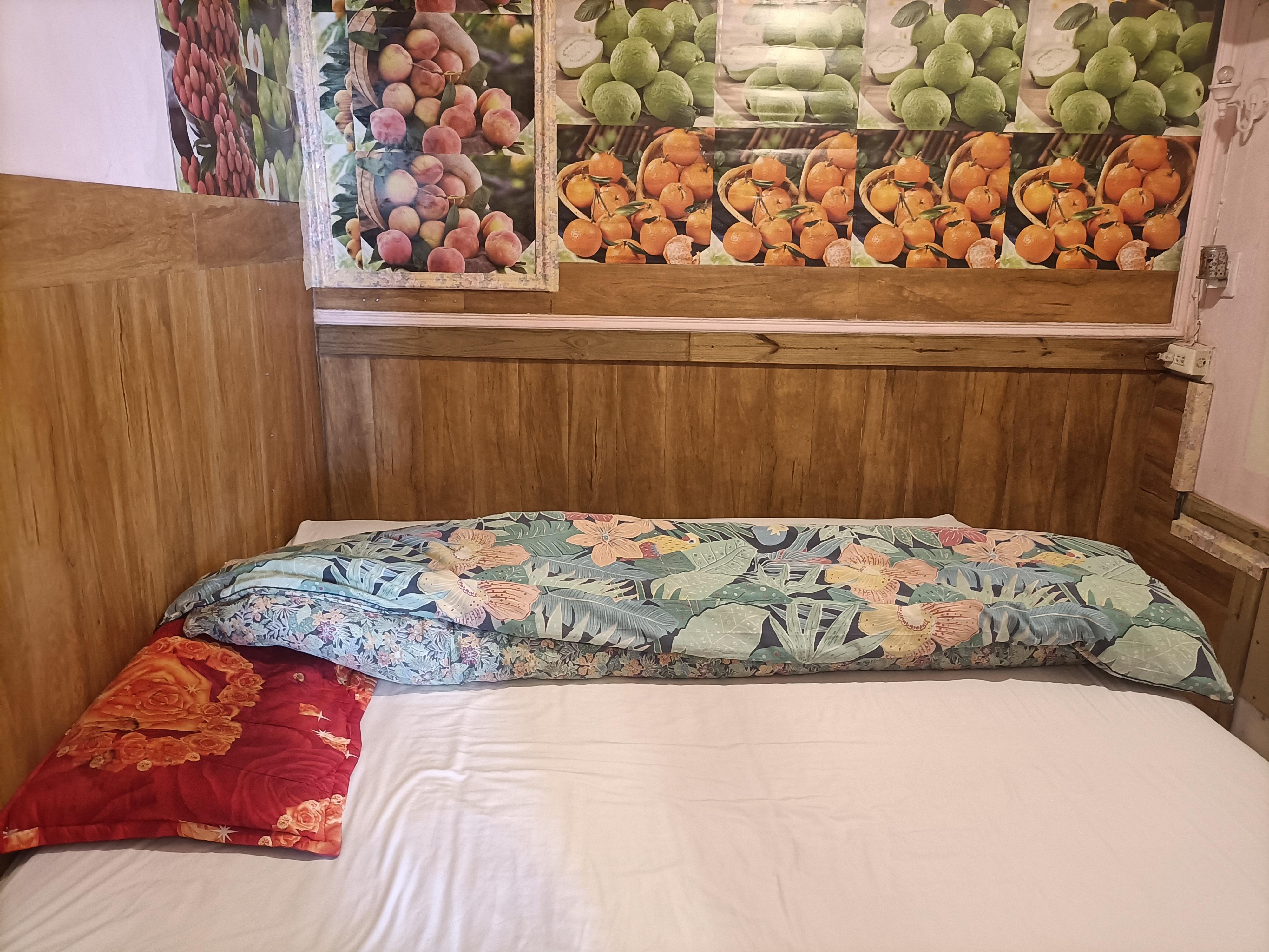 林園村莊民宿-1