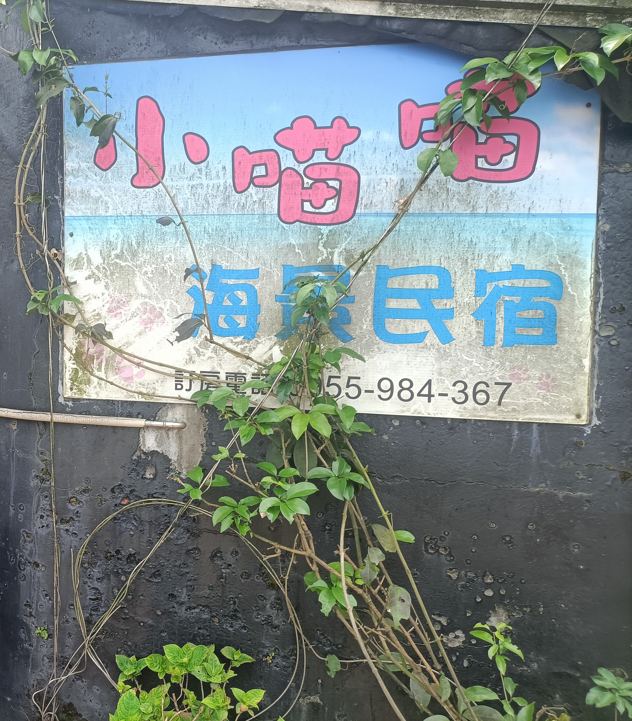 九份小喵喵民宿-3