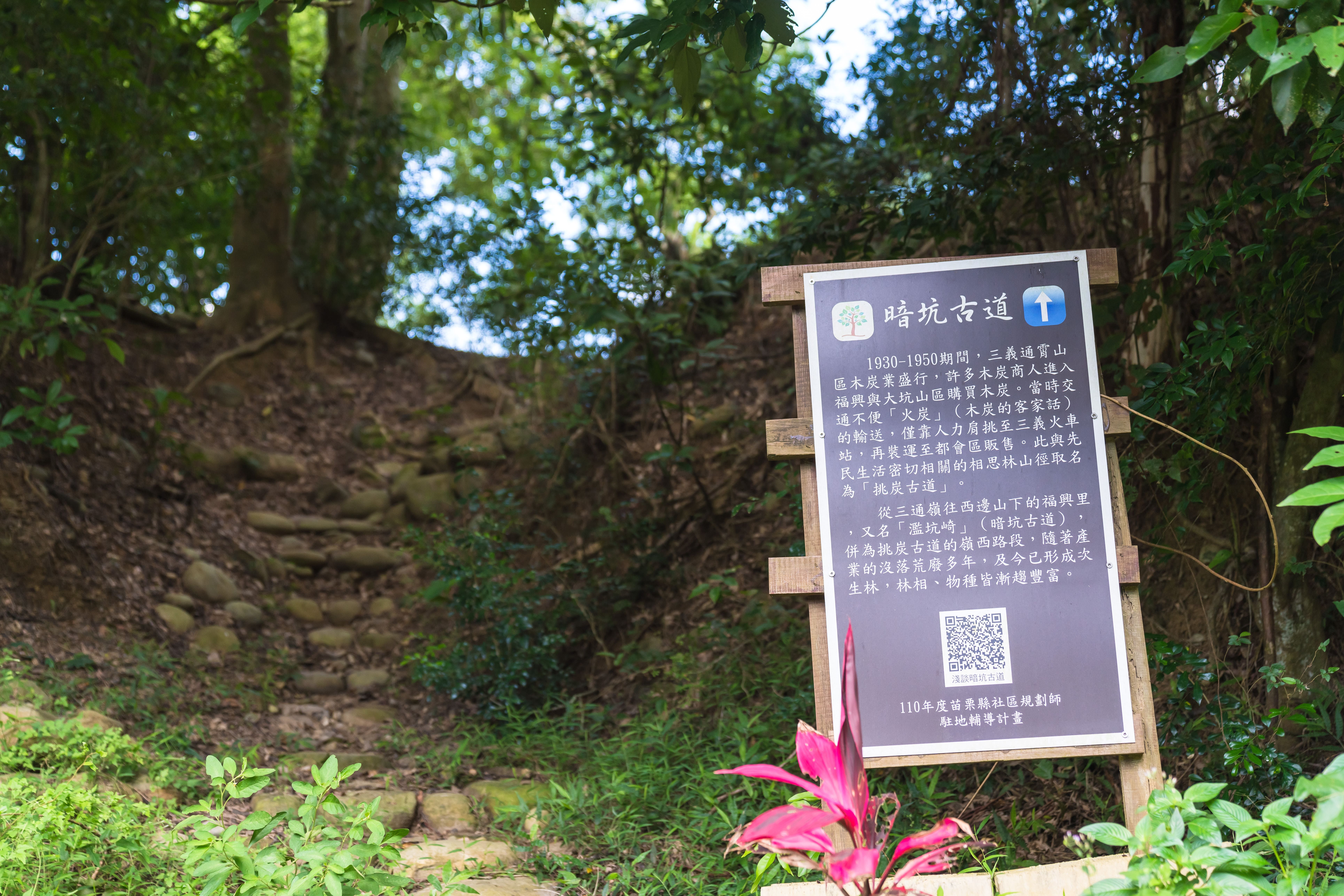 飛螢農莊-9