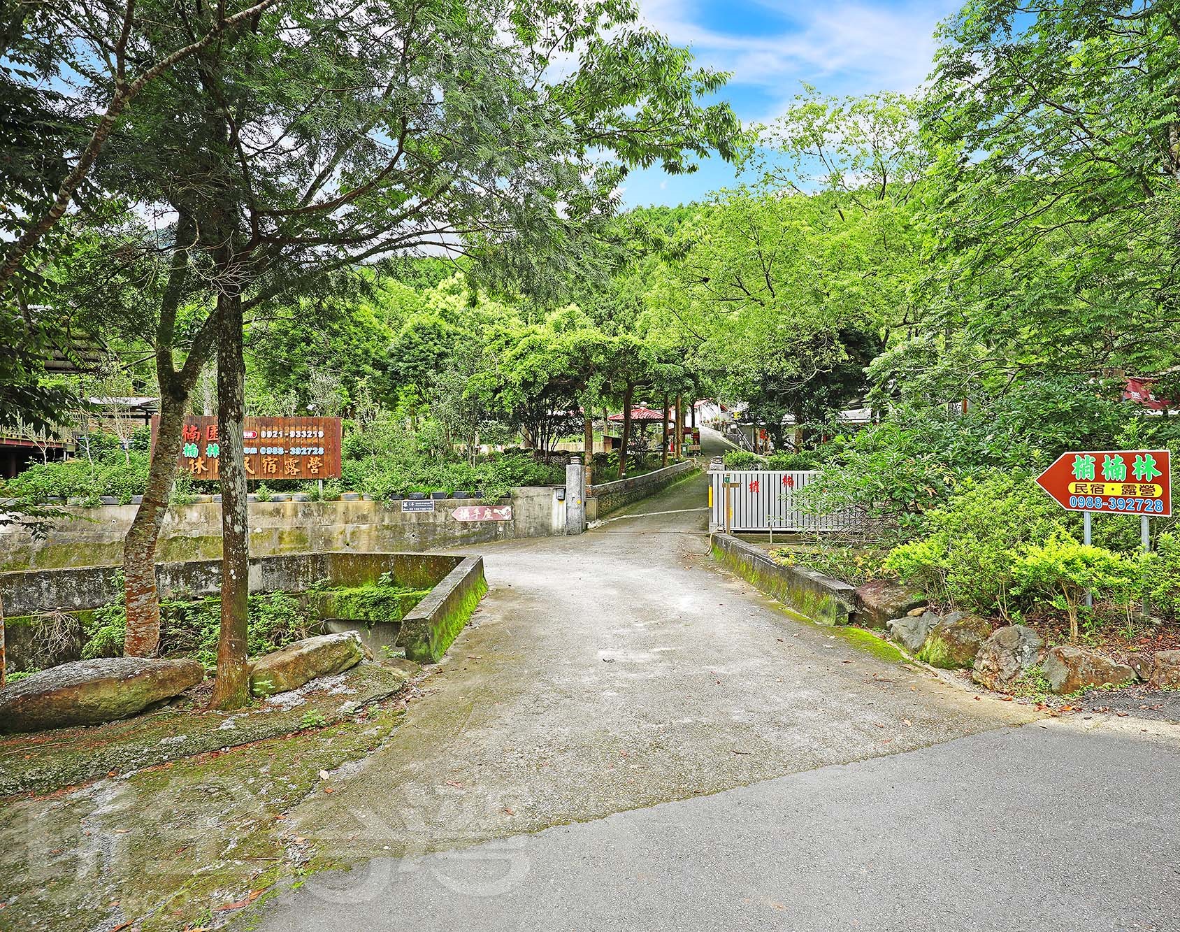 梢楠林民宿-3