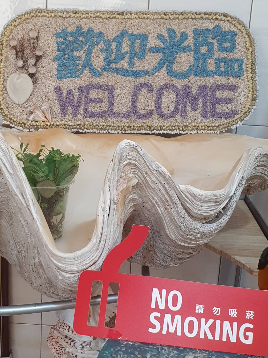 安平貝2