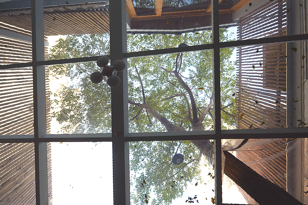 天井．樹 Villa-2