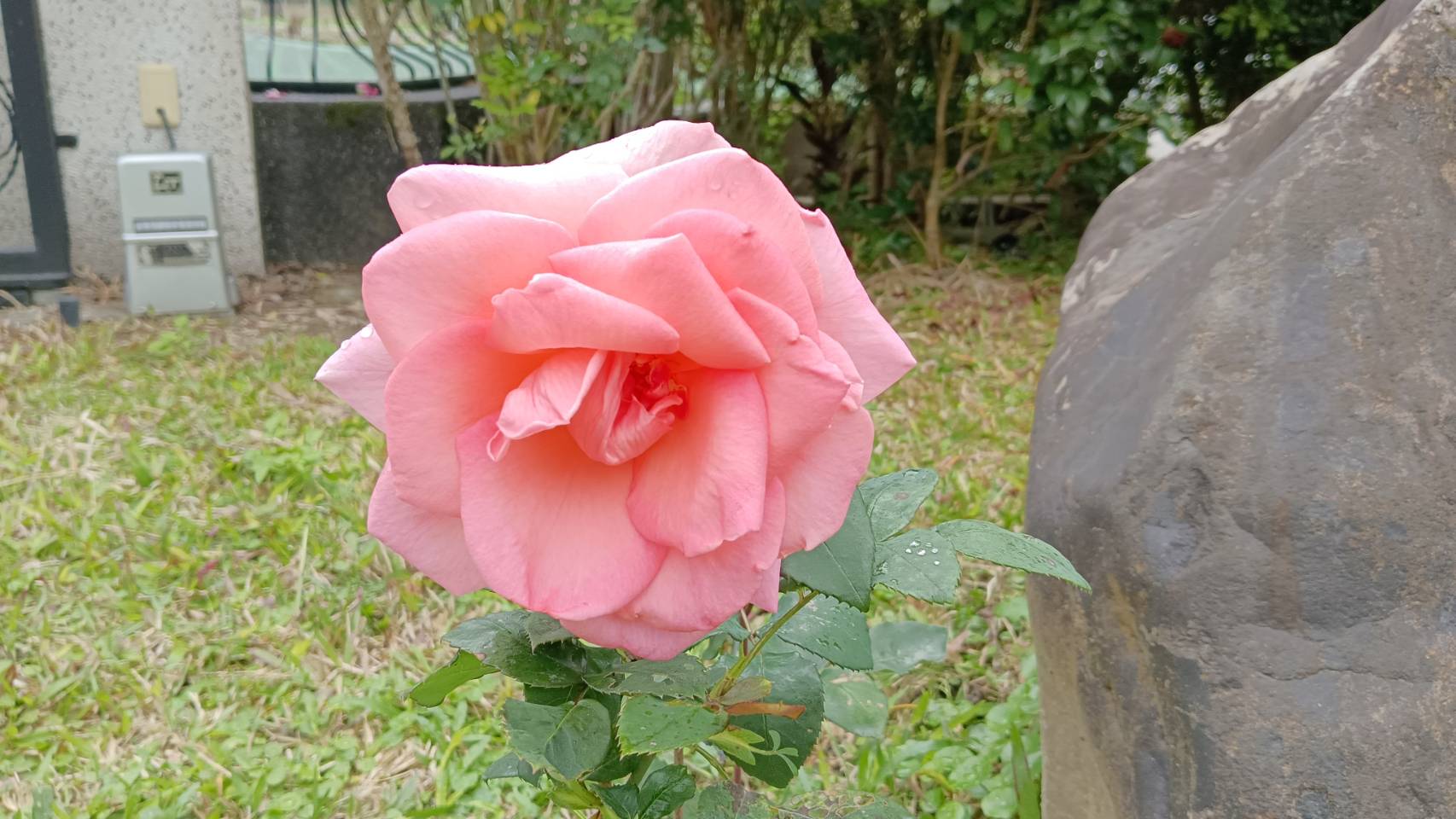 靜心莊園民宿-3