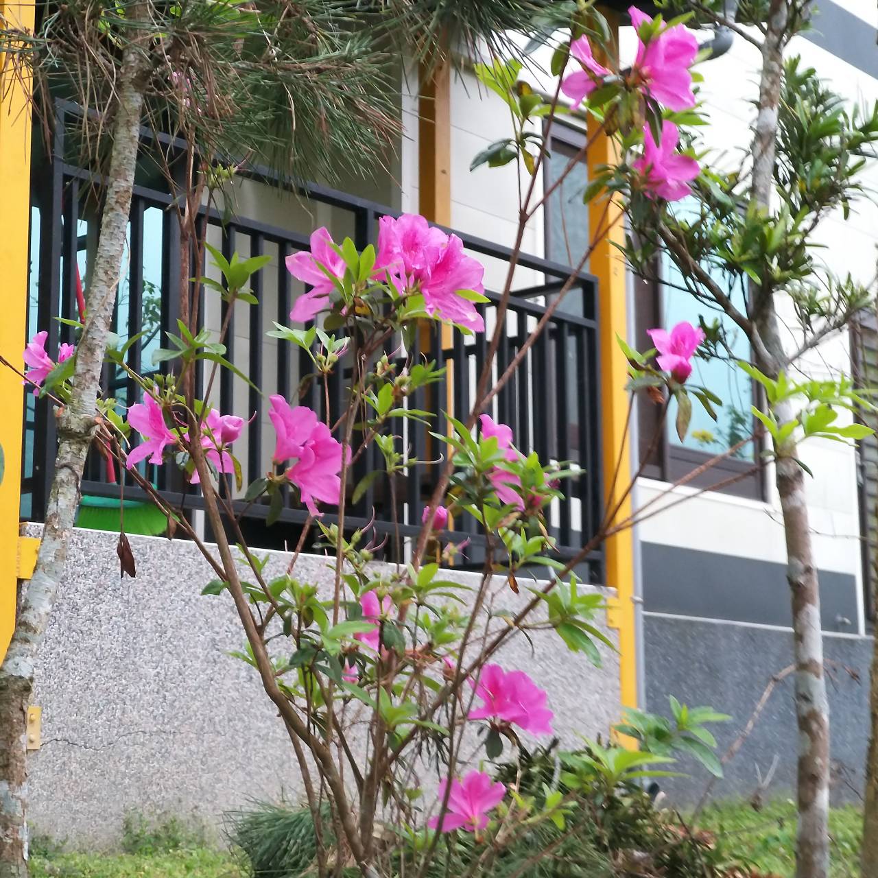 福田居民宿-11