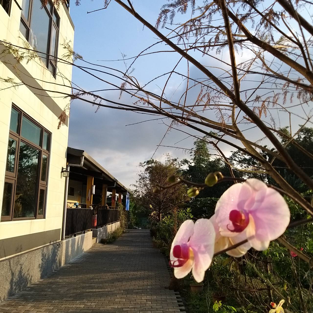 福田居民宿-12