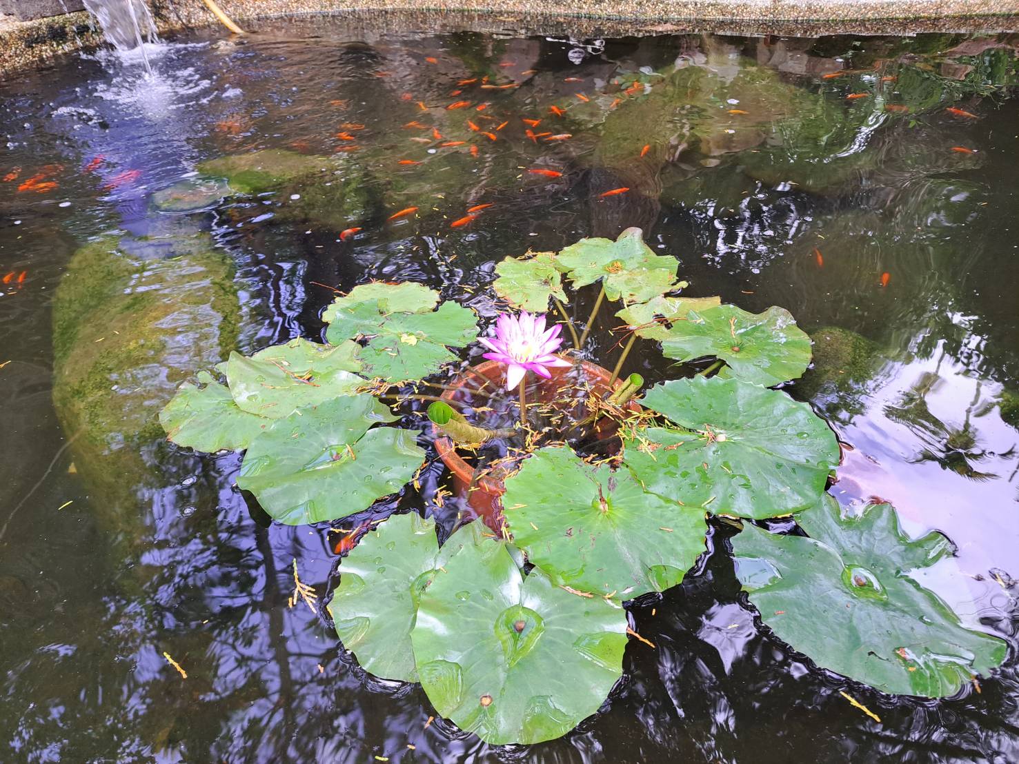 一斗夢藝棧-4