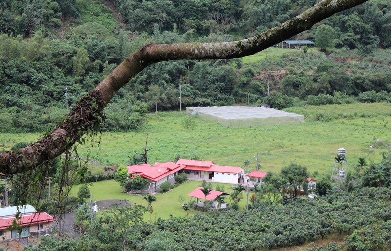 民宿鳥勘照 Whole View of Ningni