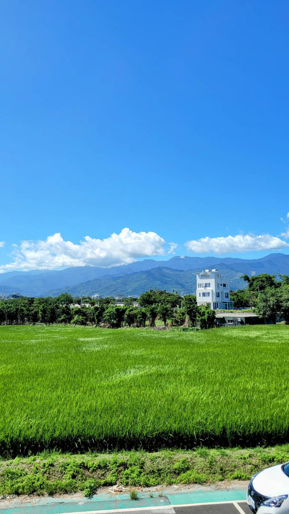 綠園民宿-7