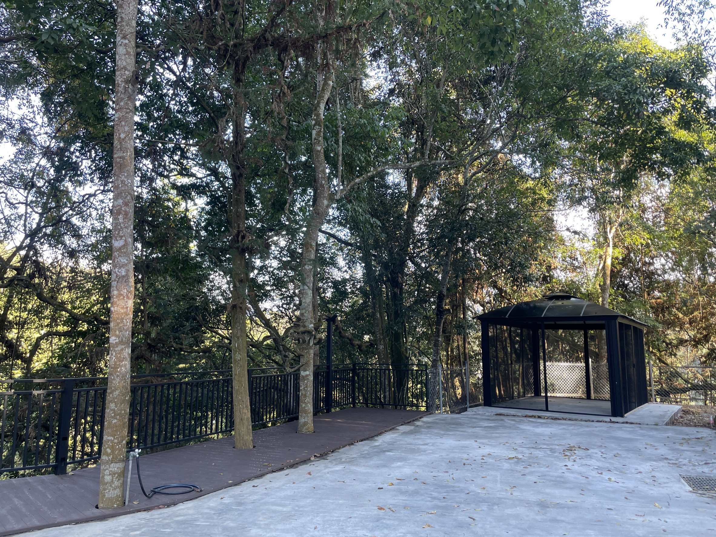 桃米森見旅宿-2