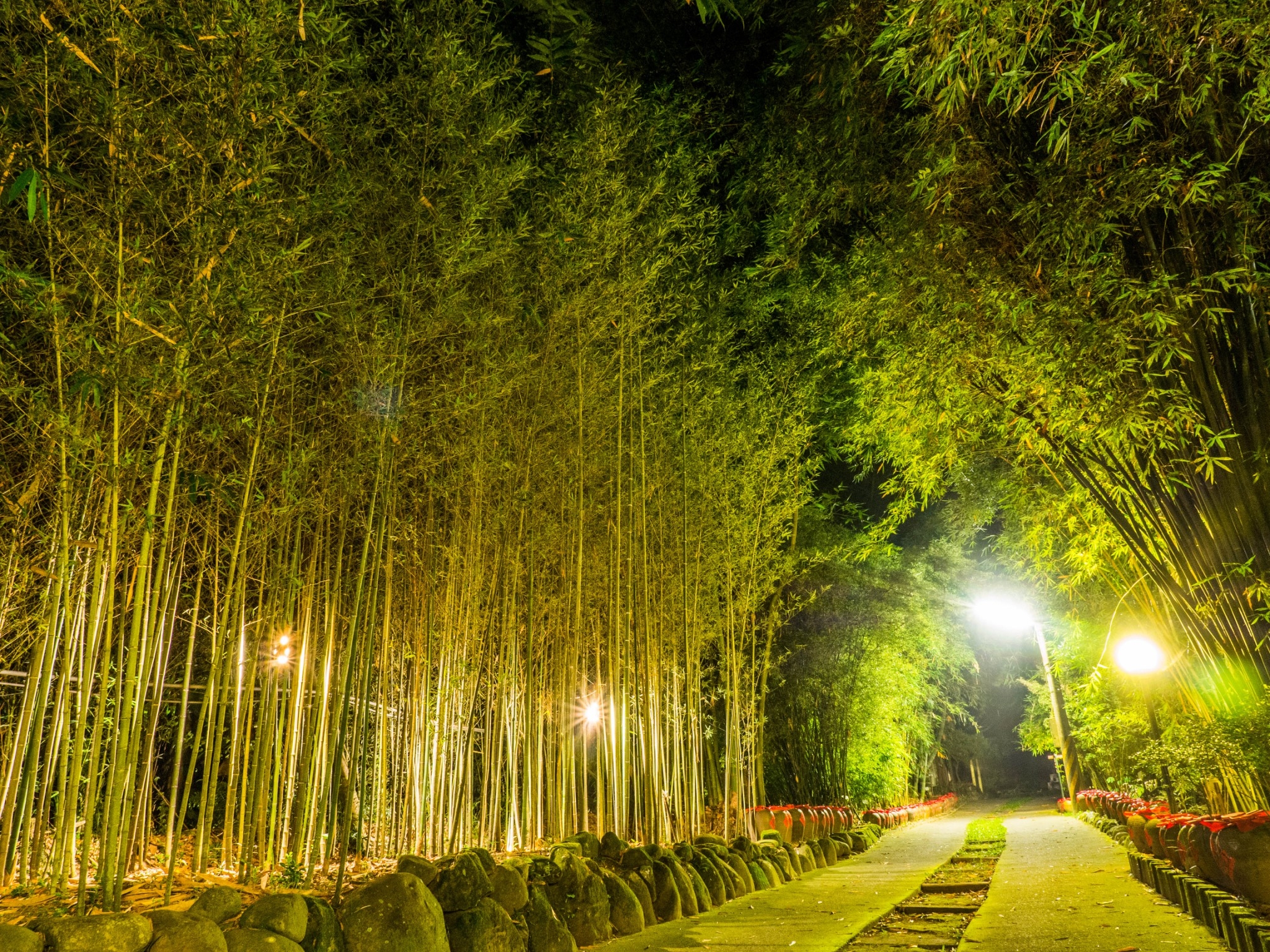 隱竹別院-1