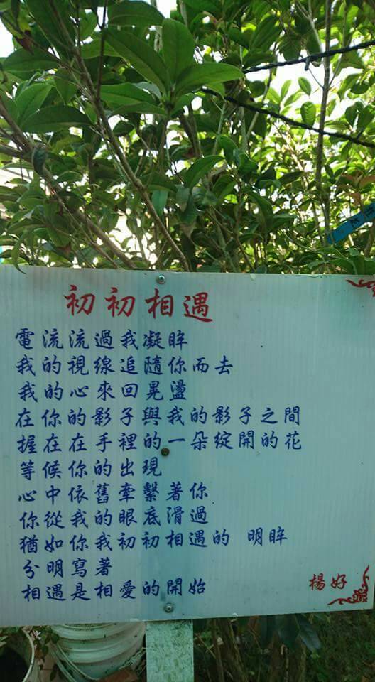 向陽田園居民宿-25