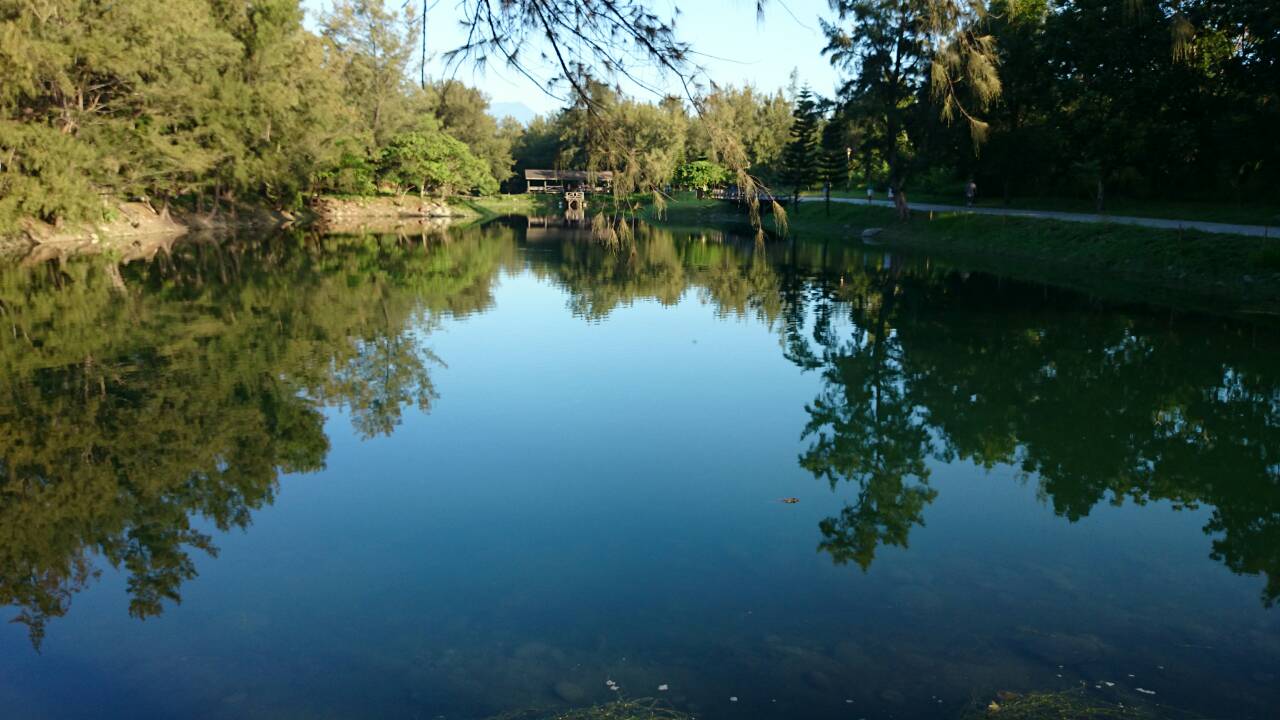 琵琶湖
緊鄰森林公園的魚樂天使，讓你隨時可散步到公園享受悠閒生活。