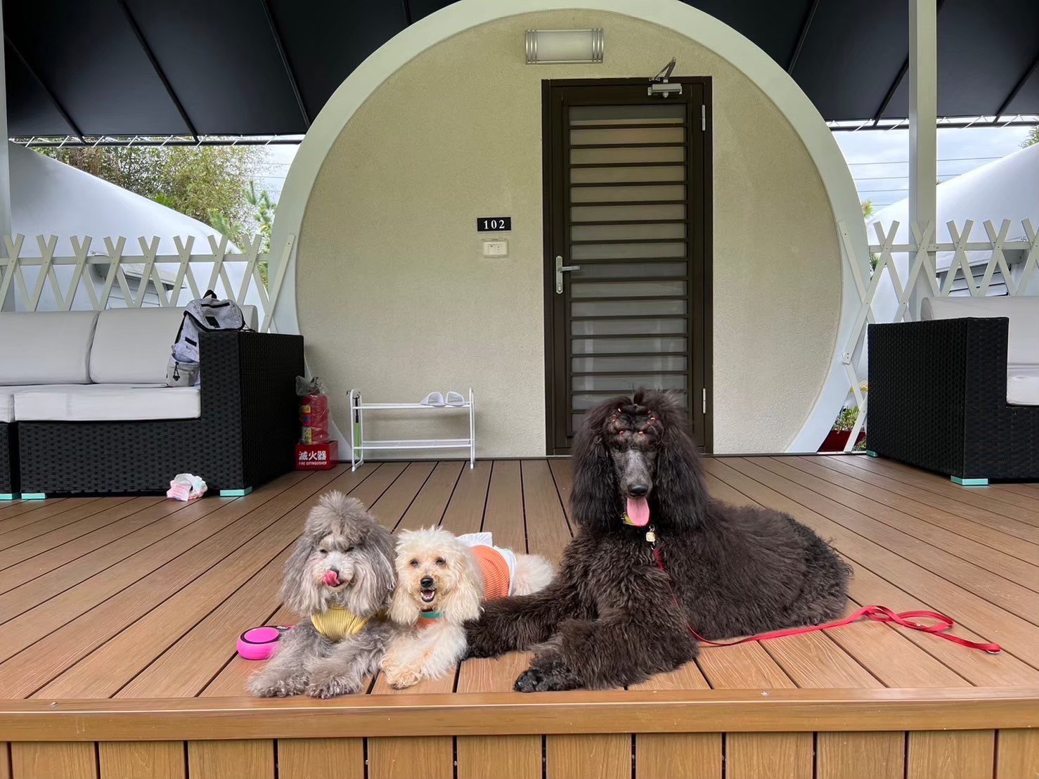 星玥涵屋民宿-20