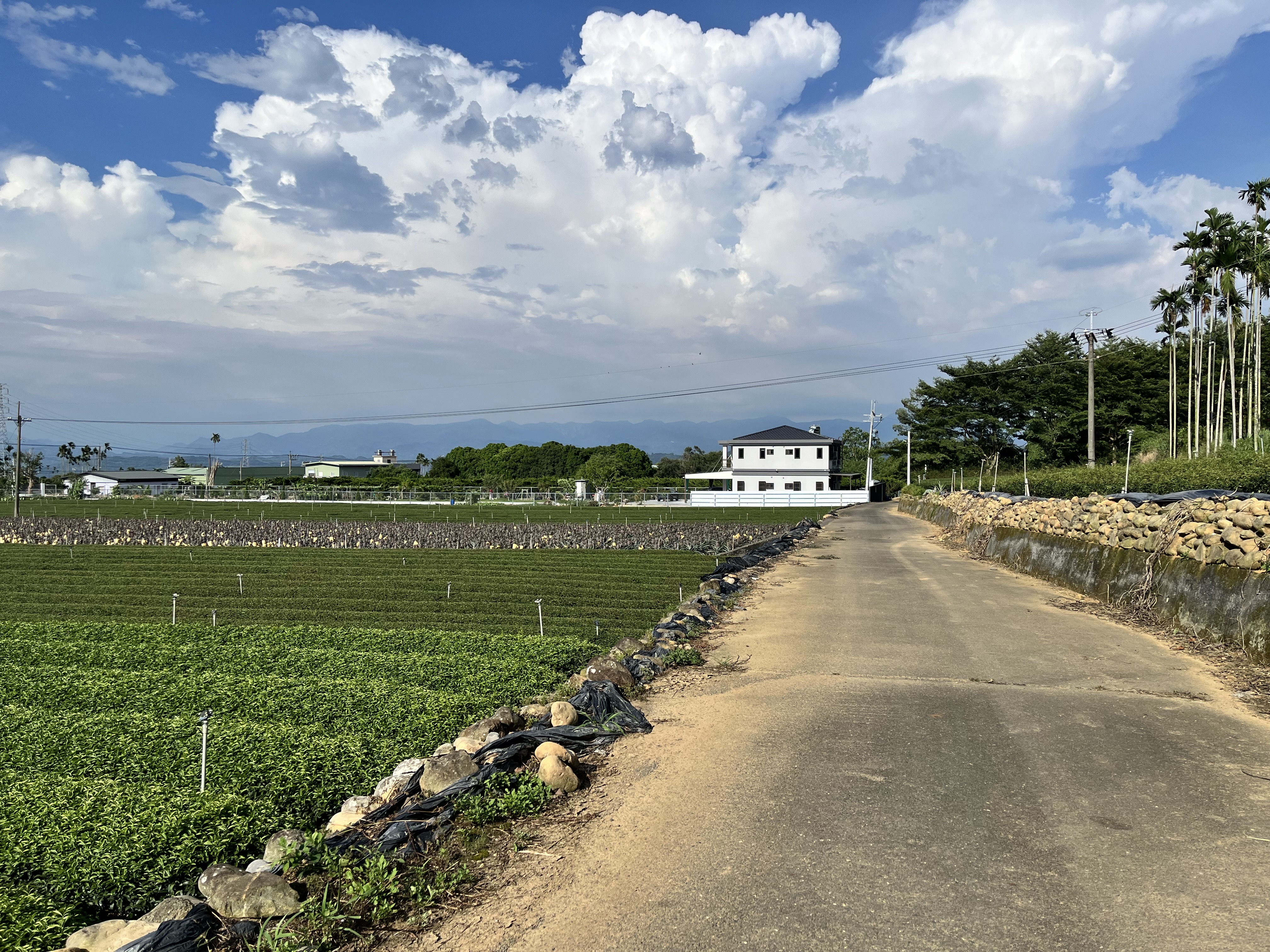出林虎民宿-2