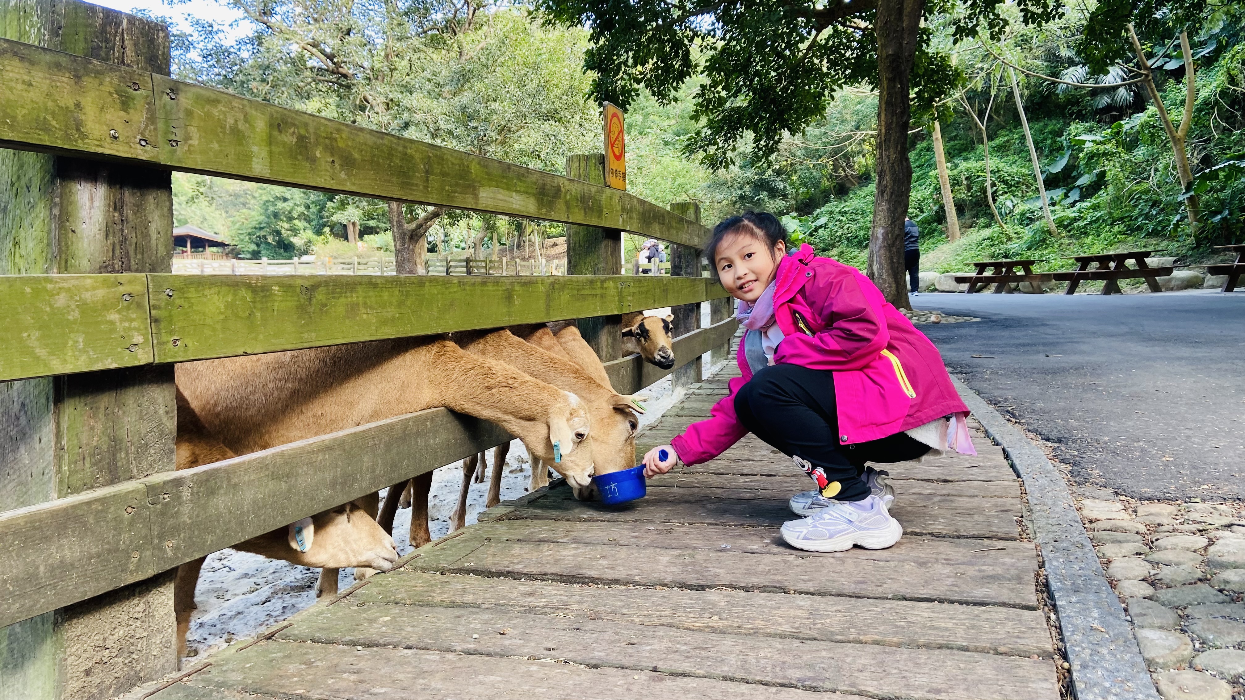 欣達休閒旅館 (在飛牛牧場內)-5