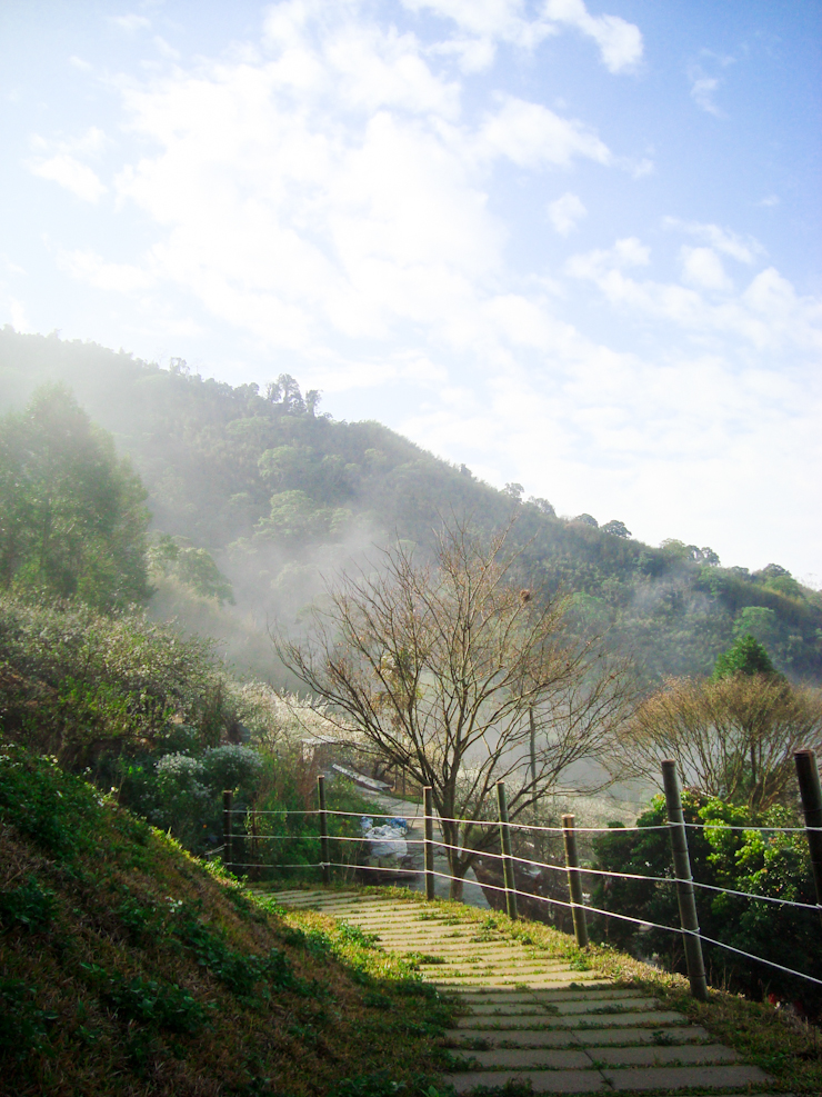 上山回家民宿-5