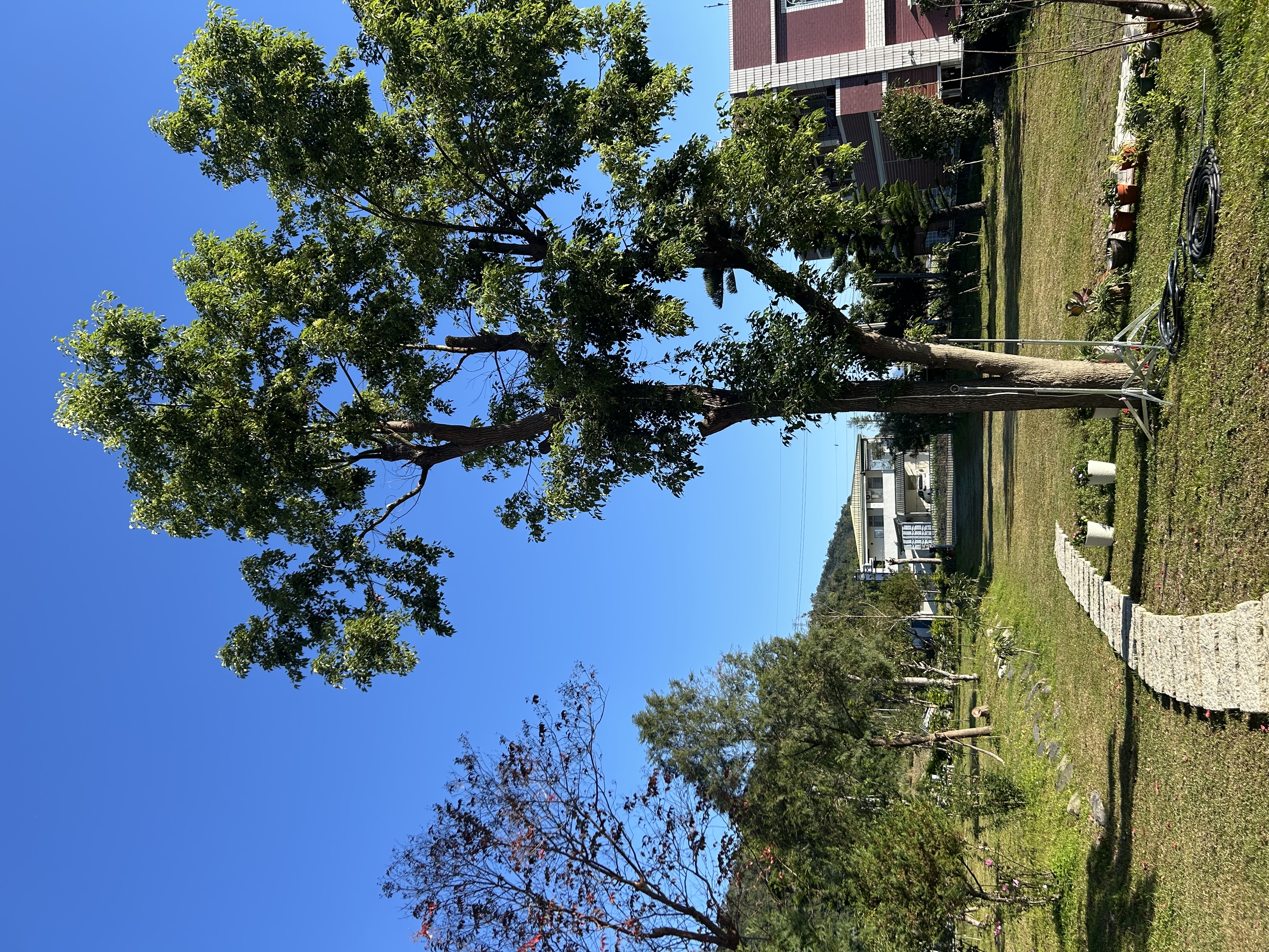 大方來富莊園民宿-4