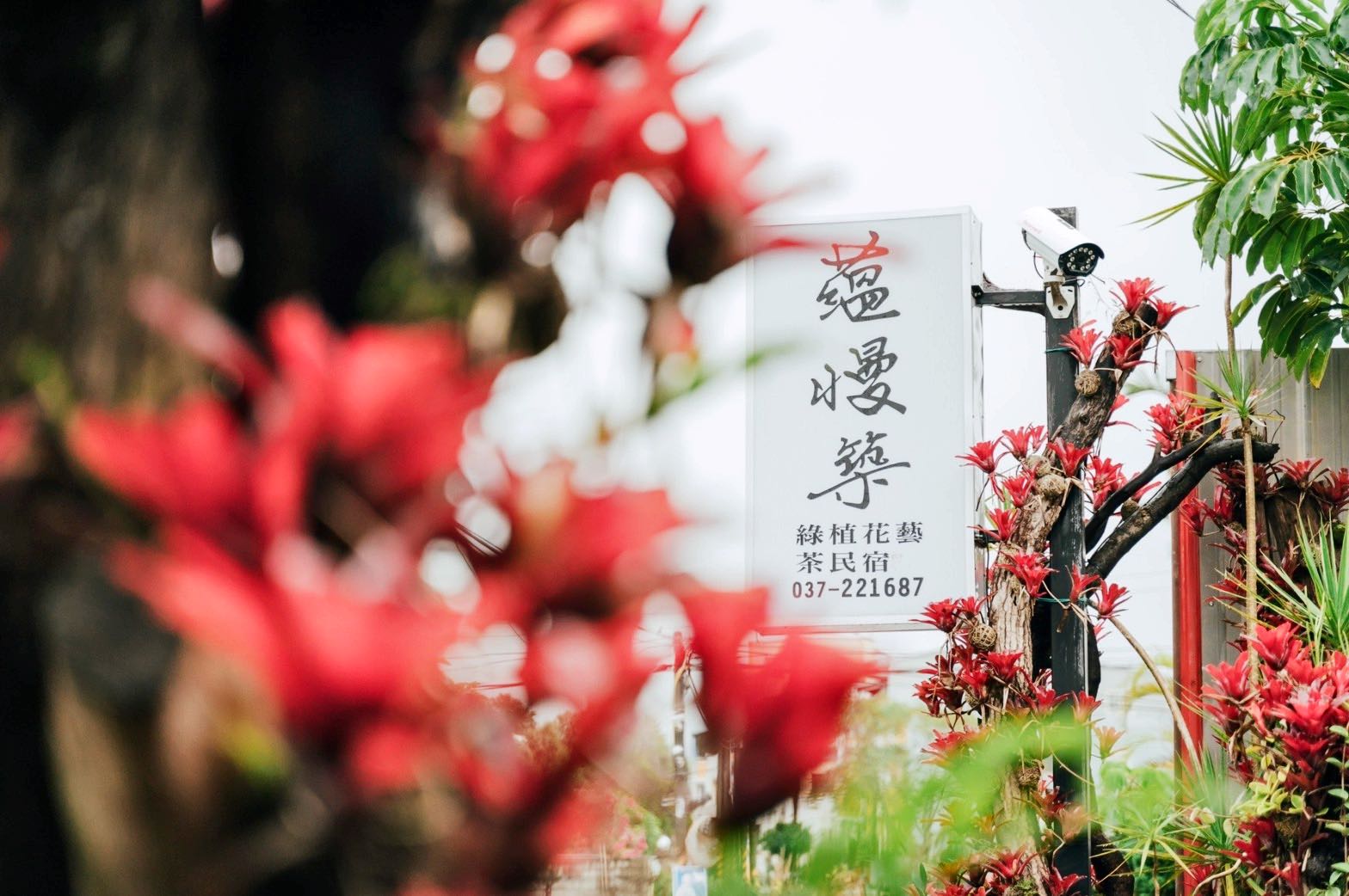 蘊慢築民宿-1