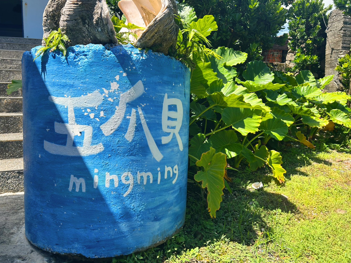 蘭嶼五爪貝民宿-1