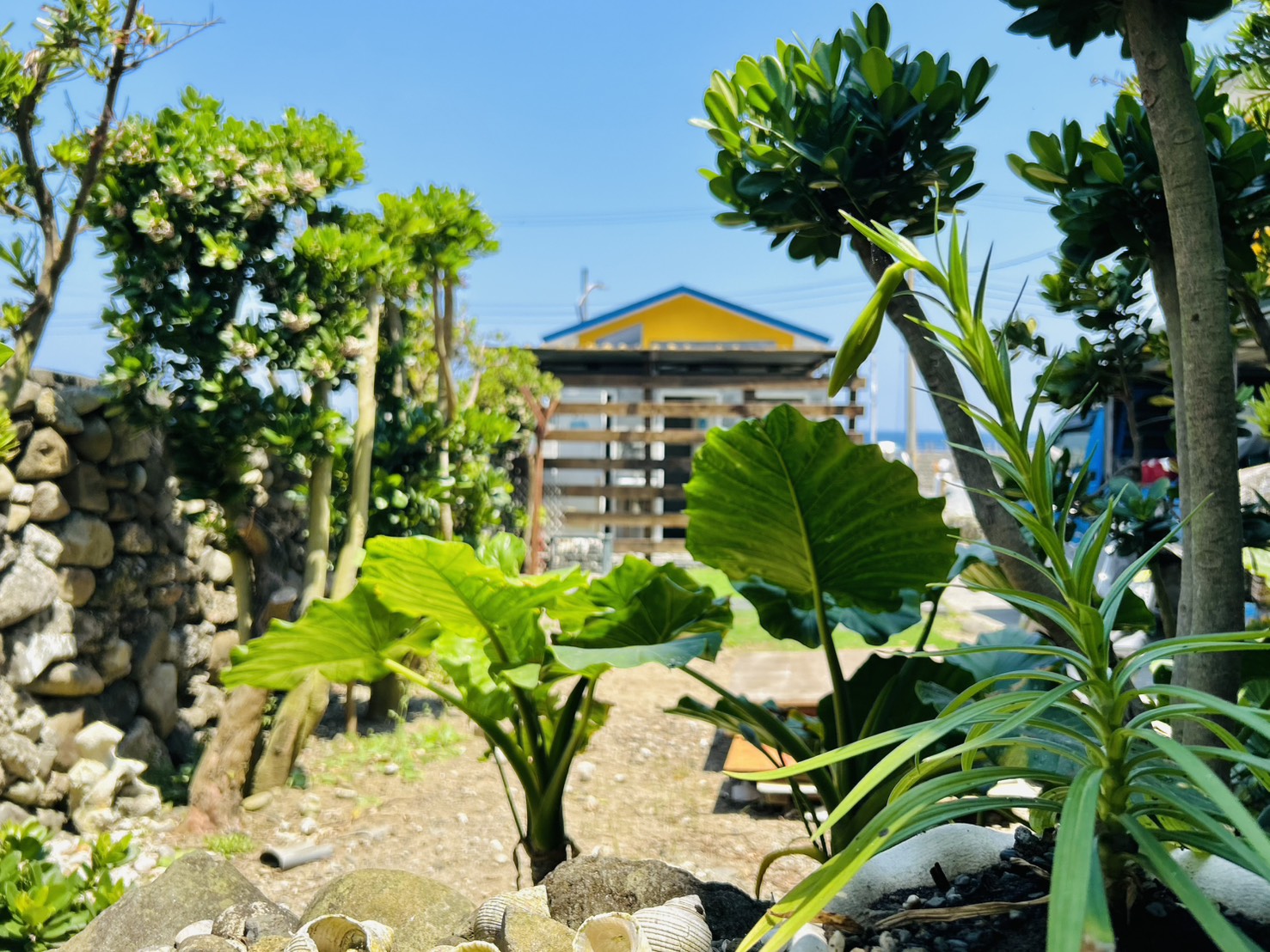 蘭嶼五爪貝民宿-2